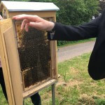 Am Lehr-Bienenstand der Imker von Wustweiler